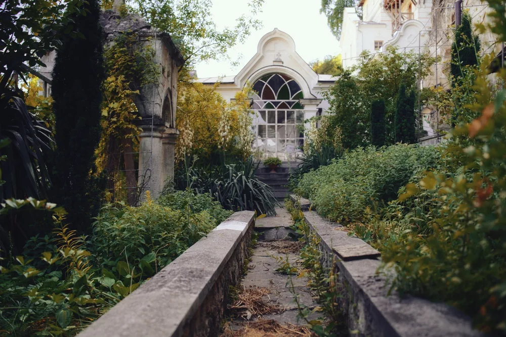 A neglected overgrown courtyard before replanting