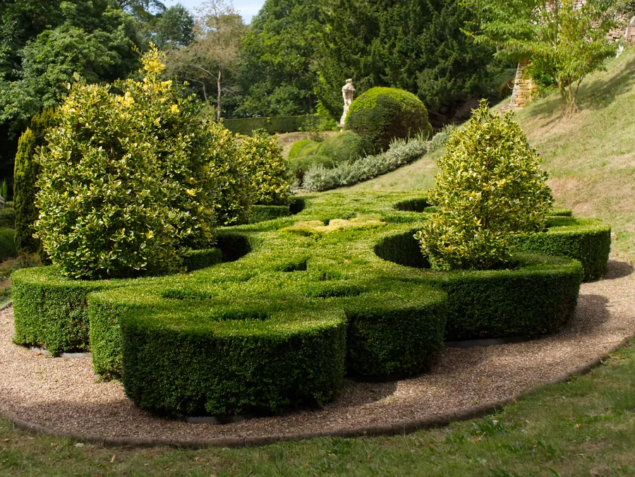 A structured garden with clipped forms and planting